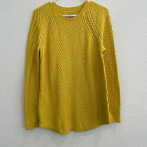 NWT Loft Sweater